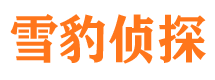 武强市侦探调查公司